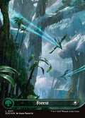 Forest – Common Magic: The Gathering card from Edge of Eternities (#371)