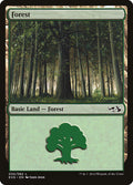 Forest – Common Magic: The Gathering card from Duel Decks Anthology: Elves vs. Goblins (#30)
