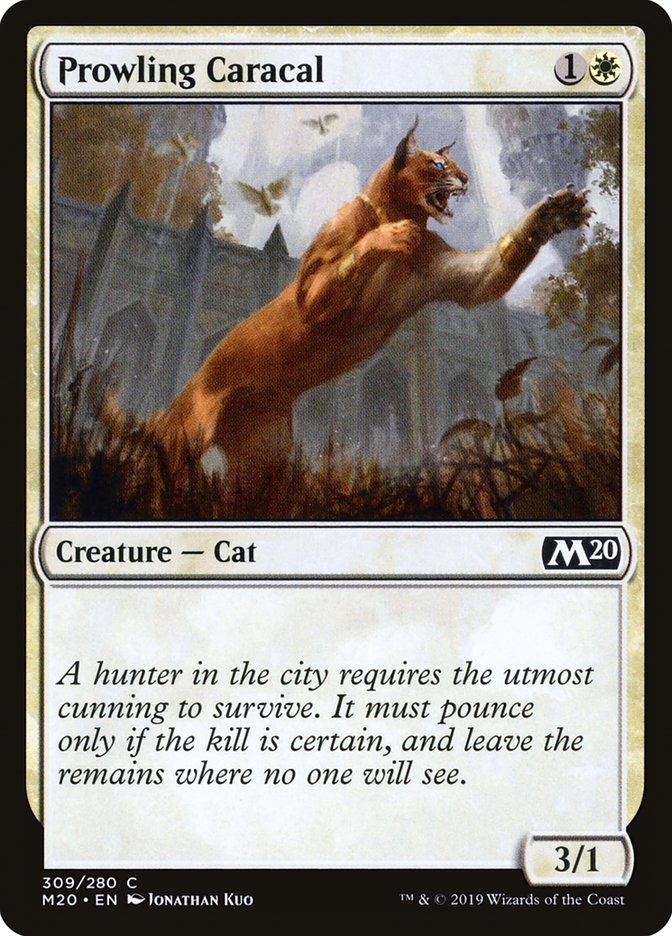 Prowling Caracal – Common Magic: The Gathering card from Core Set 2020 (#309)