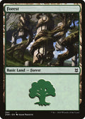 Forest – Common Magic: The Gathering card from Zendikar Rising (#384)