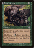 Acorn Harvest – Common Magic: The Gathering card from Torment (#118)