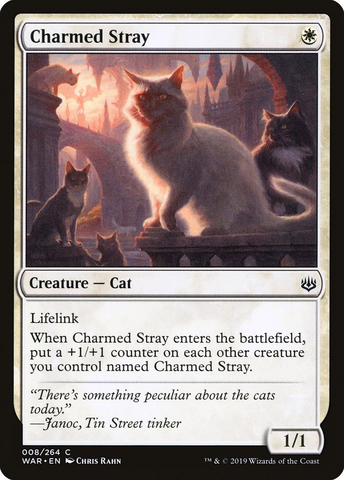 Charmed Stray – Common Magic: The Gathering card from War of the Spark (#8)
