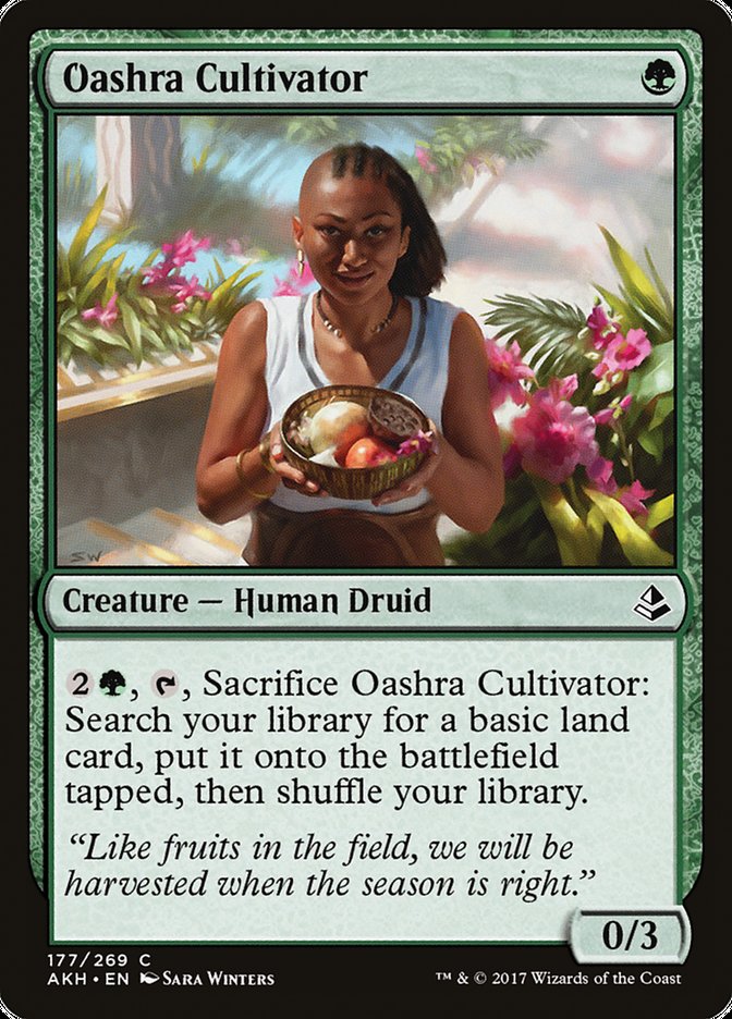 Oashra Cultivator – Common Magic: The Gathering card from Amonkhet (#177)