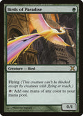 Birds of Paradise – Rare Magic: The Gathering card from Tenth Edition (#252)