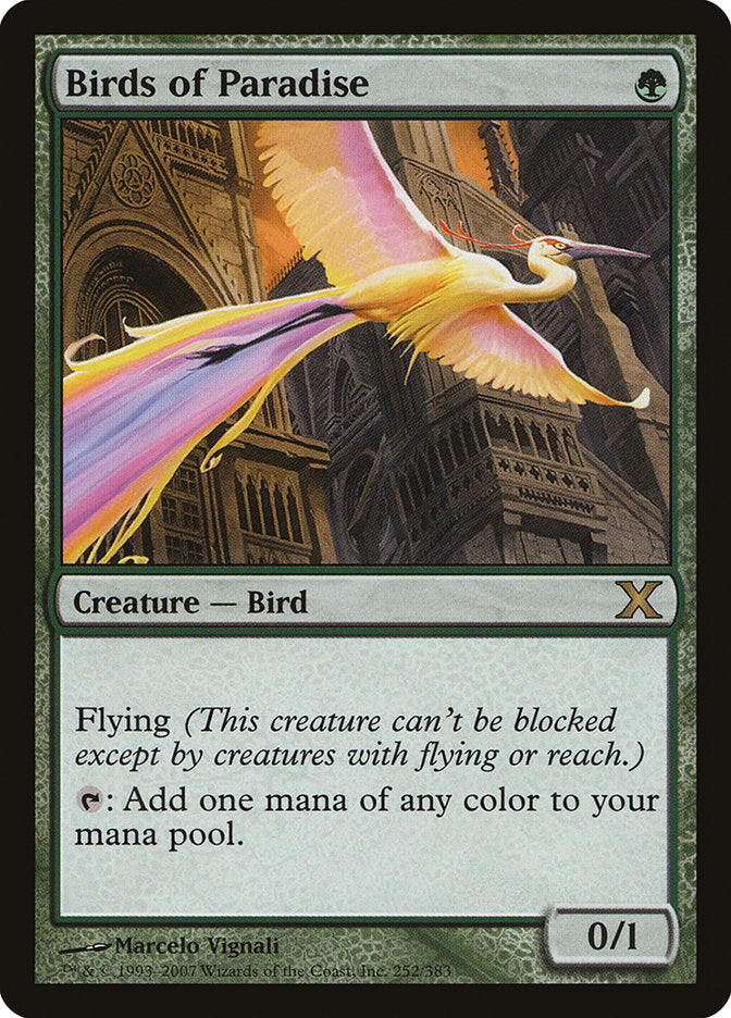 Birds of Paradise – Rare Magic: The Gathering card from Tenth Edition (#252)