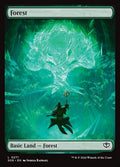Forest – Common Magic: The Gathering card from Secrets of Strixhaven (#271)