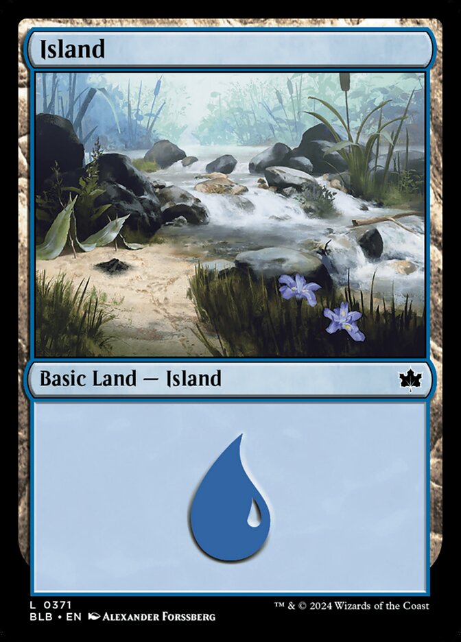 Island – Common Magic: The Gathering card from Bloomburrow (#371)