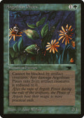Argothian Pixies – Common Magic: The Gathering card from Antiquities (#29)