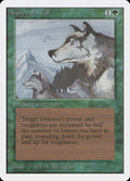 Aspect of Wolf – Rare Magic: The Gathering card from Unlimited Edition (#185)