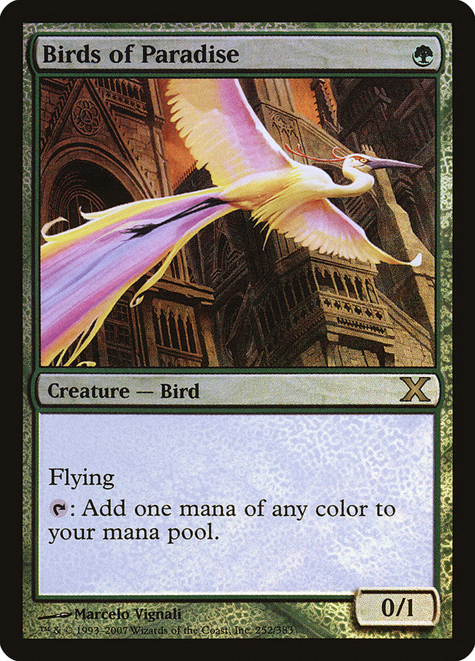 Birds of Paradise – Rare Magic: The Gathering card from Tenth Edition (#252★)