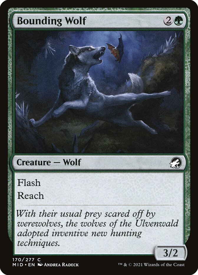Bounding Wolf – Common Magic: The Gathering card from Innistrad: Midnight Hunt (#170)