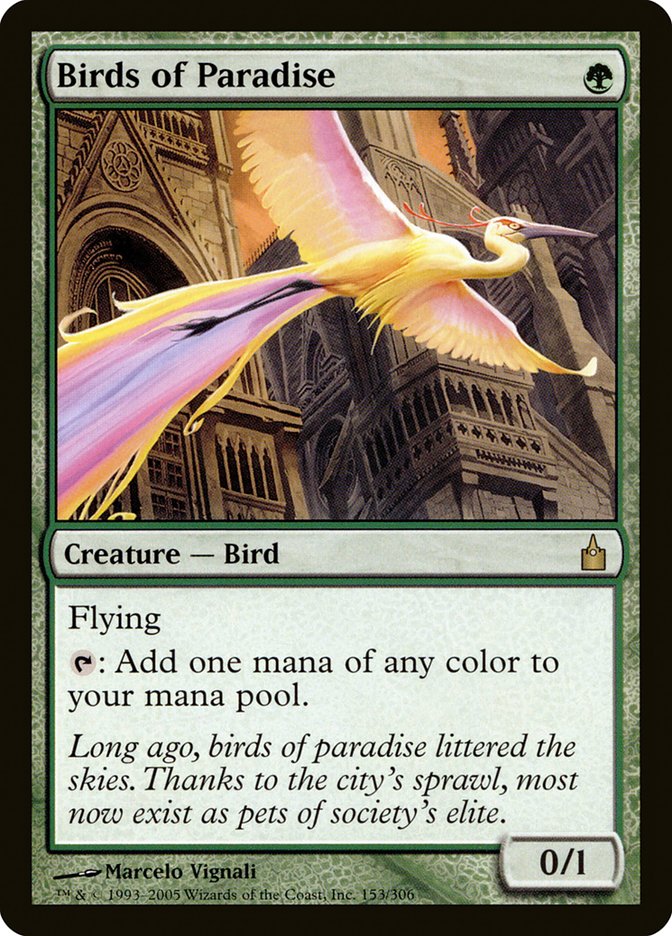 Birds of Paradise – Rare Magic: The Gathering card from Ravnica: City of Guilds (#153)