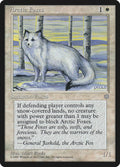 Arctic Foxes – Common Magic: The Gathering card from Ice Age (#2)