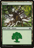 Forest – Common Magic: The Gathering card from Planechase Anthology (#155)