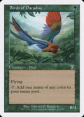 Birds of Paradise – Rare Magic: The Gathering card from Seventh Edition (#231)