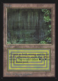 Bayou – Rare Magic: The Gathering card from Intl. Collectors' Edition (#279)