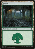 Forest – Common Magic: The Gathering card from Throne of Eldraine (#267)