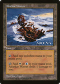 Adarkar Wastes – Rare Magic: The Gathering card from Oversized League Prizes (#26)