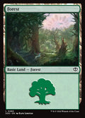 Forest – Common Magic: The Gathering card from Secrets of Strixhaven (#280)