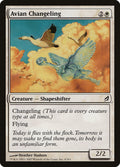 Avian Changeling – Common Magic: The Gathering card from Lorwyn (#4)