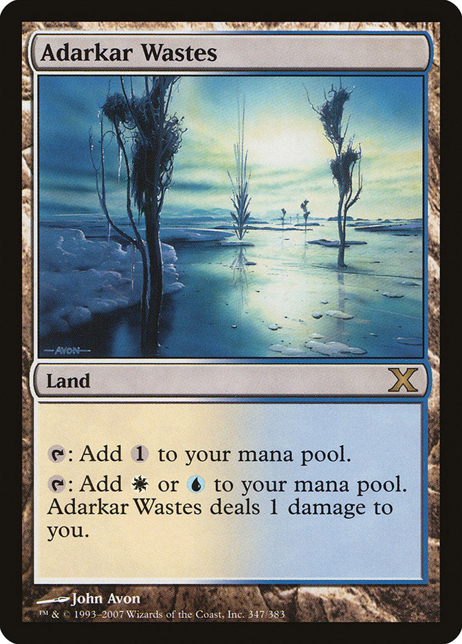 Adarkar Wastes – Rare Magic: The Gathering card from Tenth Edition (#347)