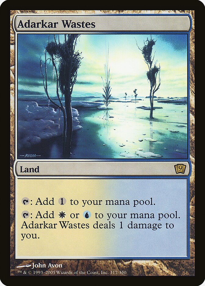 Adarkar Wastes – Rare Magic: The Gathering card from Ninth Edition (#317★)
